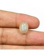 Moonstone 7.93 Carat 