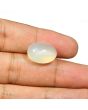 Moonstone 14.72 Carat 