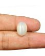 Moonstone 7.83 Carat 