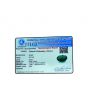 Green Onyx 6.61 Carat 