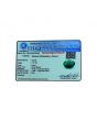 Green Onyx 7.41 Carat 