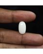 Australian Opal 8.62 Carat 