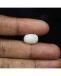 Australian Opal 5.68 Carat 
