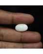 Australian Opal 7.81 Carat 