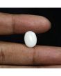 Australian Opal 5.38 Carat 