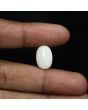 Australian Opal 5.98 Carat 