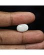 Australian Opal 5.5 Carat 