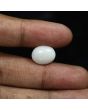 Australian Opal 7.26 Carat 