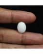 Australian Opal 7.26 Carat 
