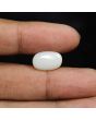 Australian Opal 5.54 Carat 