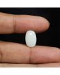 Australian Opal 5.54 Carat 