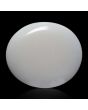 Australian Opal 6.81 Carat 