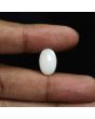 Australian Opal 5.63 Carat 
