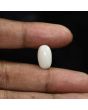 Australian Opal 6 Carat 
