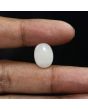 Australian Opal 6.25 Carat 