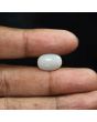 Australian Opal 5.94 Carat 