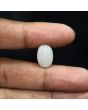 Australian Opal 5.94 Carat 