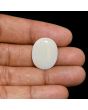 Australian Fire Opal 12.03 Carat