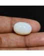 Australian Opal 9.45 Carat