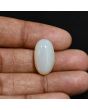 Australian Opal 11.84 Carat