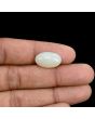 Australian Opal 6.67 Carat 