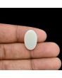 Australian Opal 7.94 Carat 