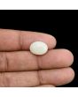 Australian Opal 6.14 Carat 