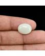 Australian Opal 6.89 Carat