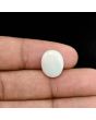 Australian Opal 6.13 Carat 