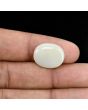 Australian Opal 7.08 Carat 
