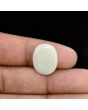 Australian Opal 7.08 Carat 