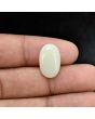 Australian Opal 6.44 Carat 