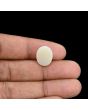 Australian Opal 6.83 Carat 