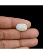 Australian Opal 6.2 Carat 