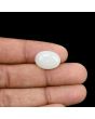 Australian Opal 7.13 Carat 