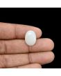 Australian Opal 7.13 Carat 