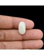 Australian Opal 7.65 Carat 
