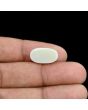 Australian Opal 7.65 Carat 