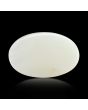 Australian Opal 6.29 Carat 
