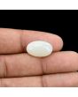 Australian Opal 7.11 Carat