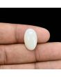 Australian Opal 7.11 Carat