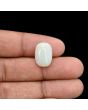Australian Opal 7.06 Carat 