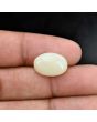 Australian Opal 6.68 Carat 