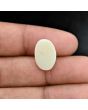 Australian Opal 6.68 Carat 