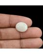 Australian Opal 6.4 Carat 