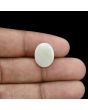 Australian Opal 6.4 Carat 