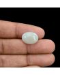 Australian Opal 7.02 Carat 