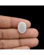 Australian Opal 7.02 Carat 