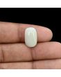 Australian Opal 7.55 Carat 