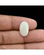 Opal Cts 5.56 